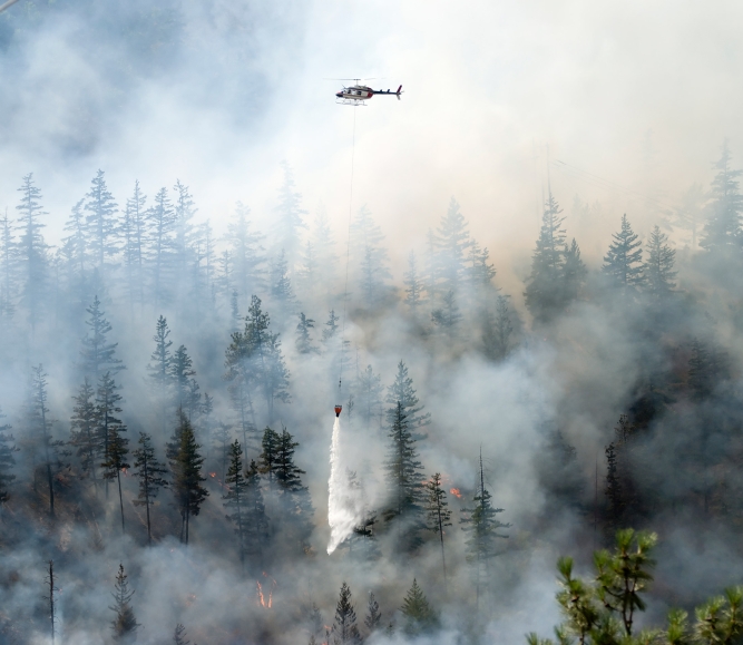 wildfires_cover.jpg Image of wildfires_cover.jpg