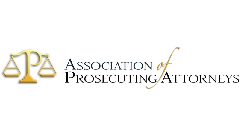 Image of APA_logo.jpg