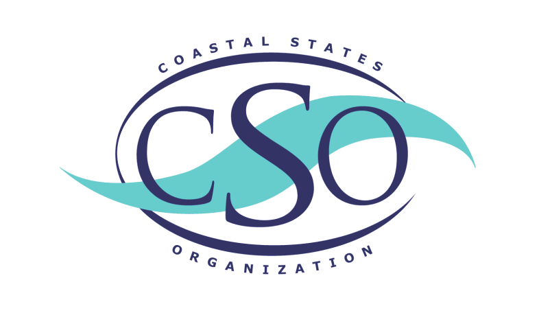 Image of CSO_CENTERED FOR NACo WEBSITE.png