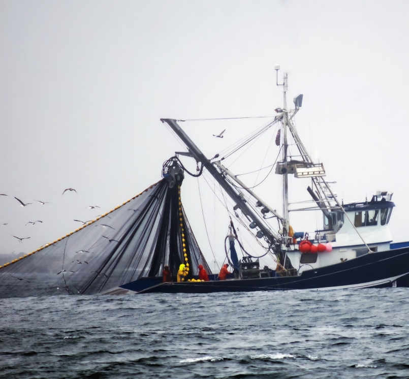 Fishing boat