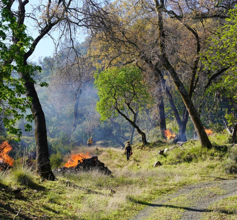 Workers in Napa County, Calif.  use controlled burns to manage brush. Cancellation of BRIC funding leaves millions of dollars for mitigation work there in jeopardy.
