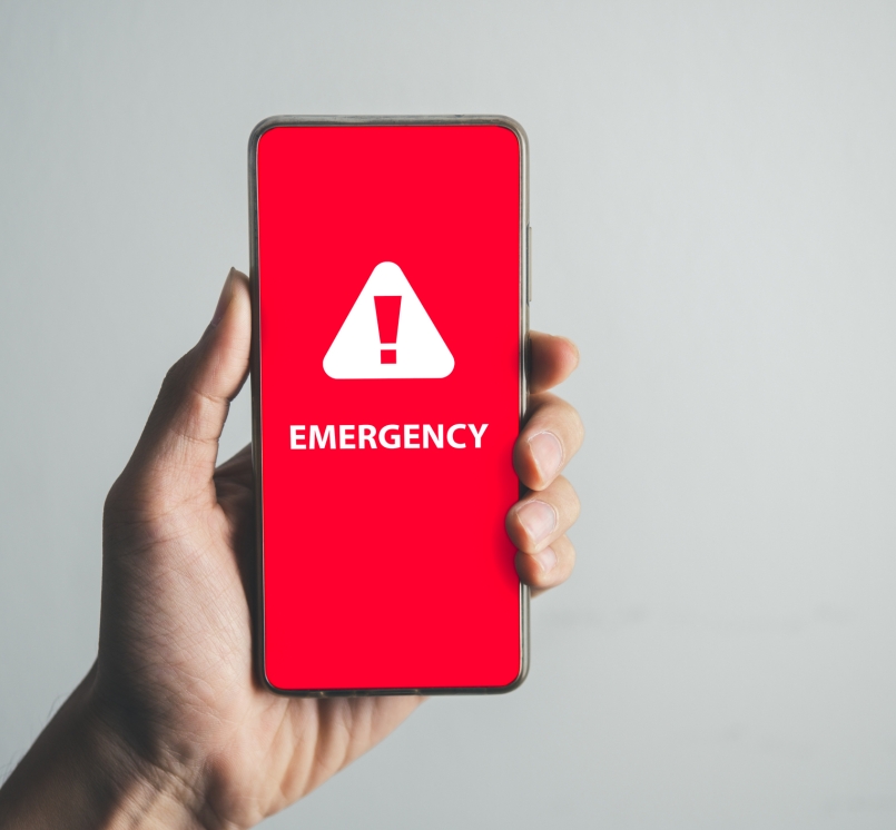 Phone emergency alert