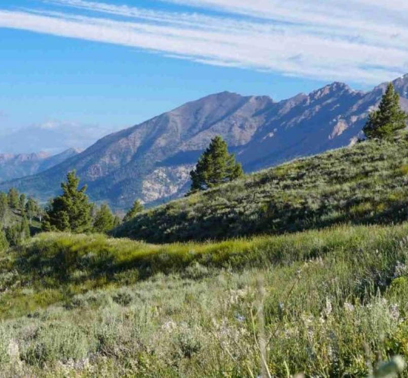 Public Lands Counties