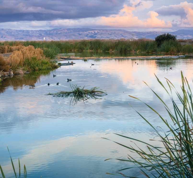 Sunset landscape of the marshes of south San Francisco bay, Sunnyvale, California