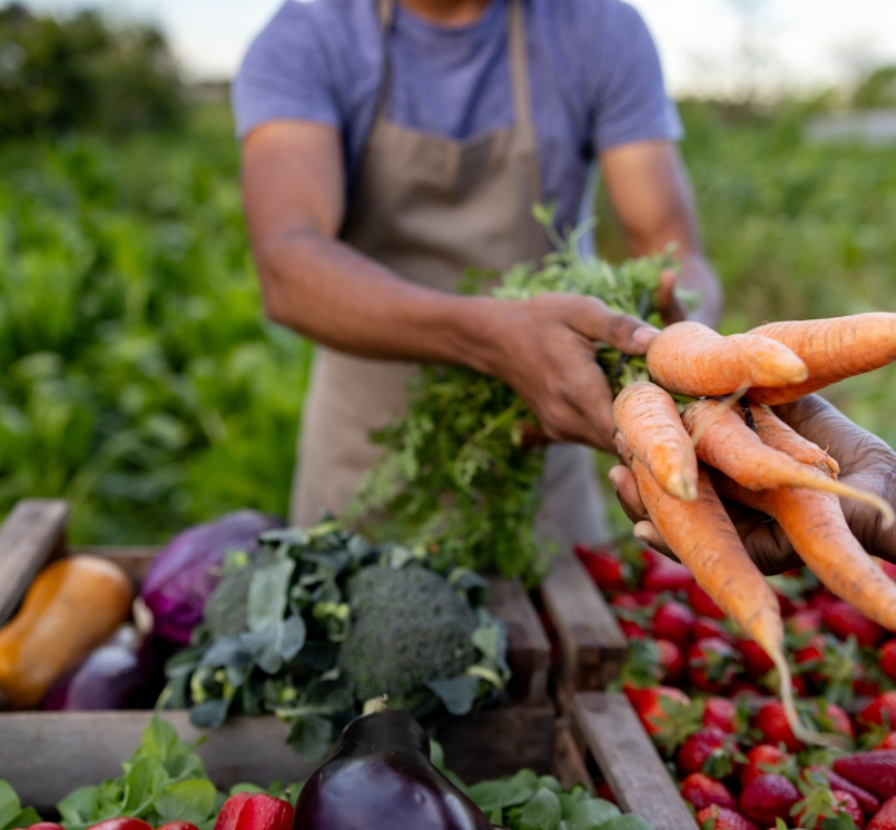 Close-up on a man selling carrots at a farmer's market