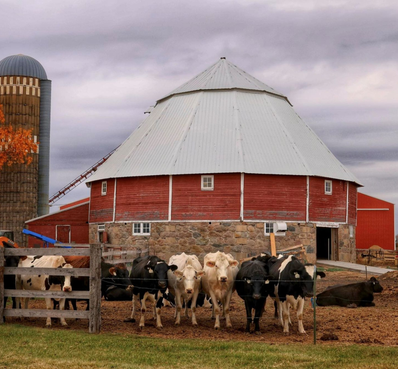 Stearns County is Minnesota’s top-milk producing county and is home to more than 500 dairy farms, according to The Minnesota Department of Agriculture.