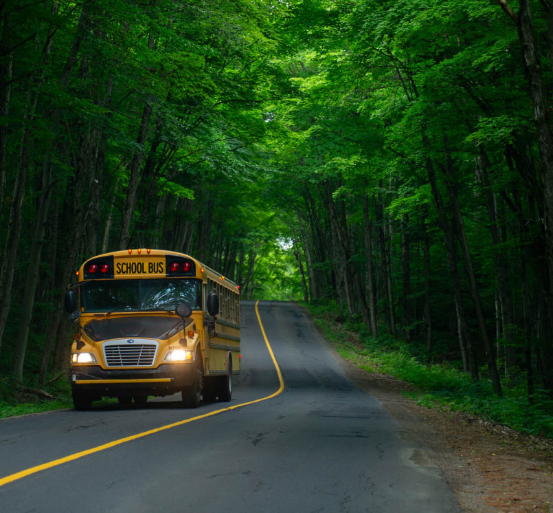 School bus on wooded road