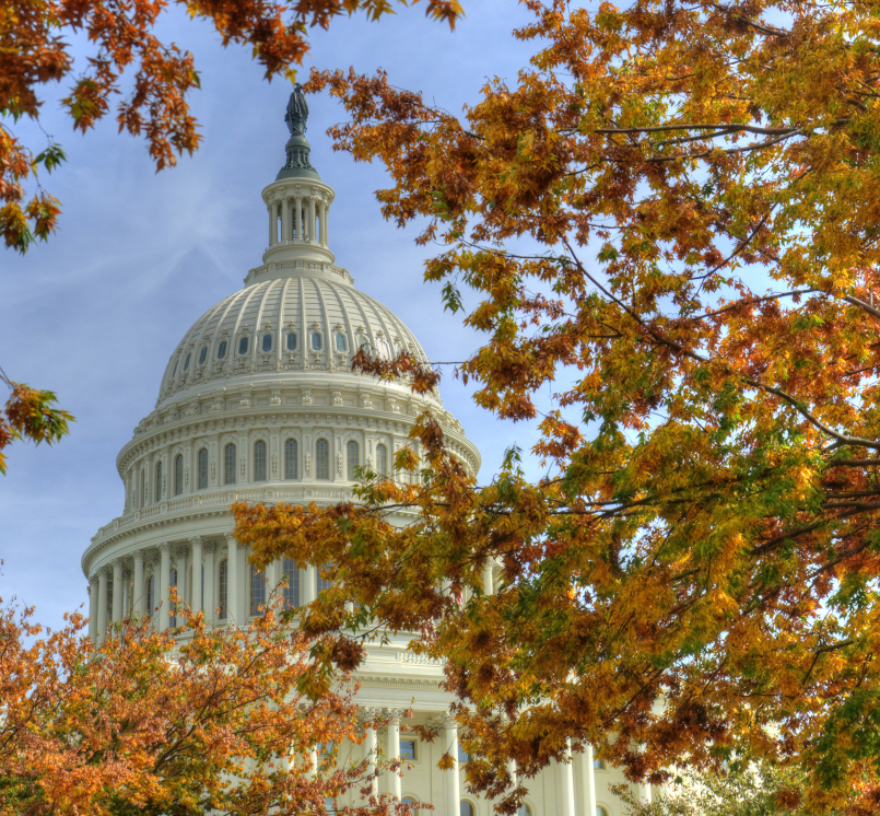 Image of Capitol-fall-leaves.jpg