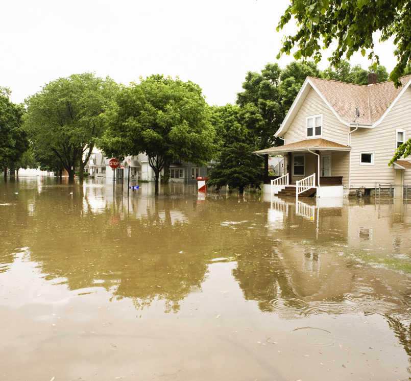 Image of GettyImages-170618580 recolor.jpg