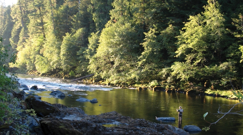 Angler in a river