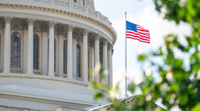 US Capitol Building close-up