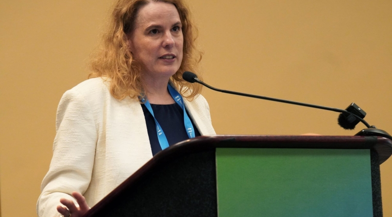 Maureen McGuigan, Lackawanna County’s deputy director of arts and culture, talks July 12 to members of the NACo Arts and Culture Innovation Council. Photo by Leon Lawrence III.