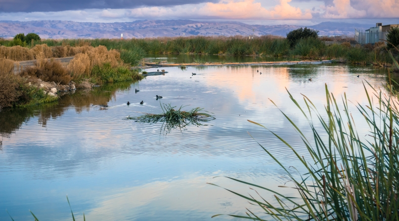 Sunset landscape of the marshes of south San Francisco bay, Sunnyvale, California
