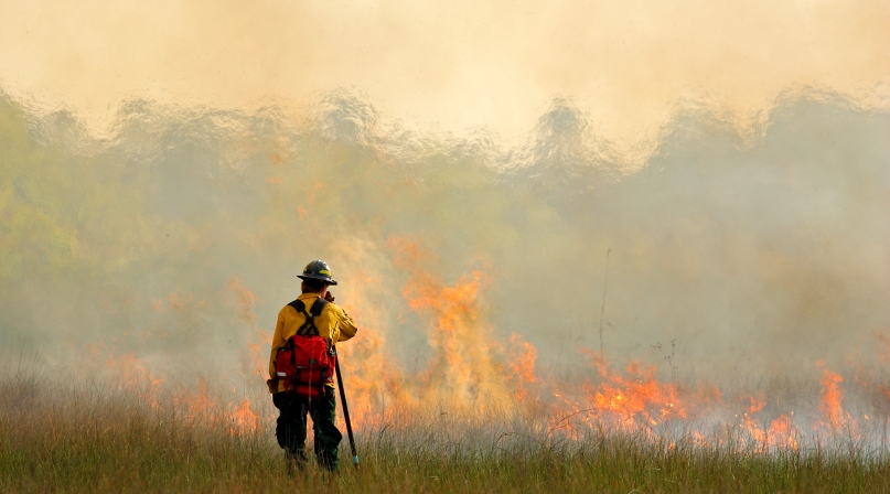 Wildfire in Everglades
