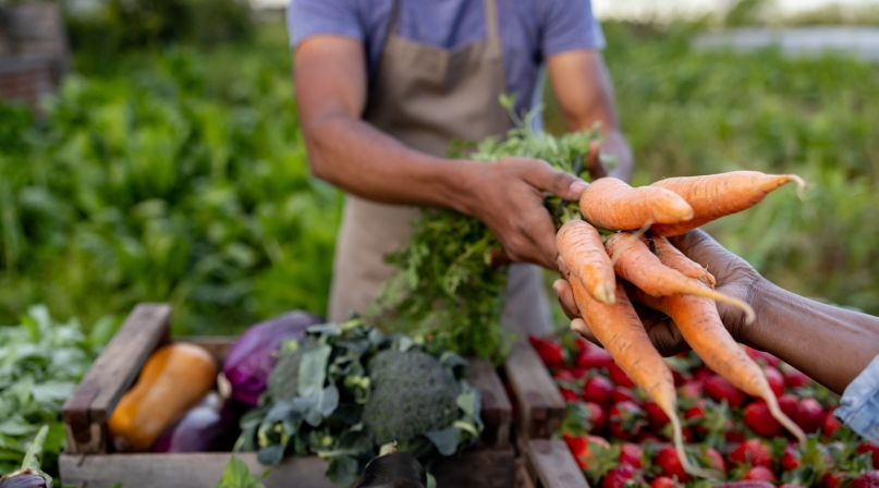 Close-up on a man selling carrots at a farmer's market