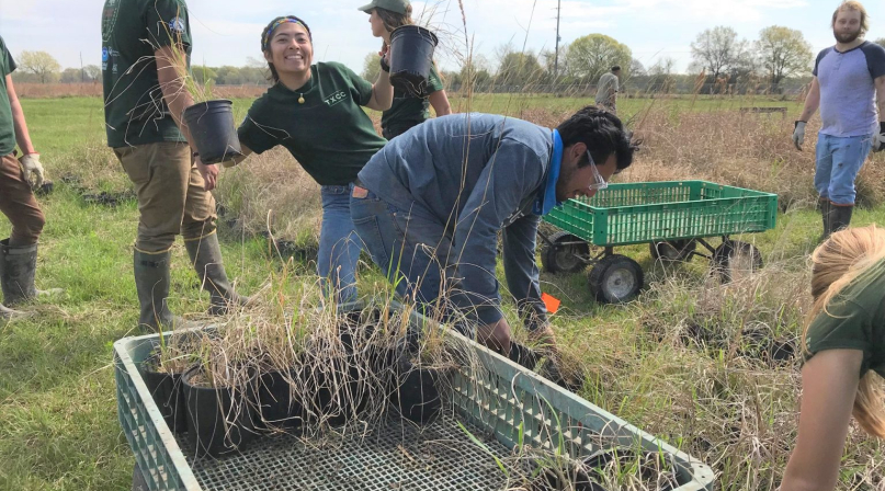 Members of Student Conservation Association’s GulfCorps, who perform critical invasive species removal and shoreline restoration along the Gulf Coast, volunteer at the Armand Bayou Nature Center.
