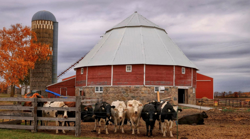 Stearns County is Minnesota’s top-milk producing county and is home to more than 500 dairy farms, according to The Minnesota Department of Agriculture.
