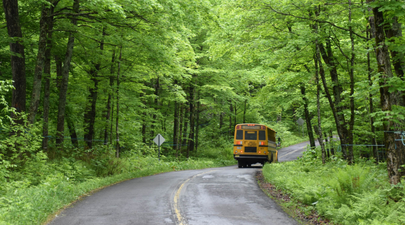 School bus on wooded road