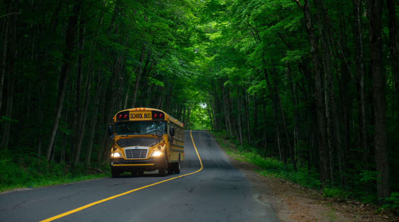 School bus on wooded road