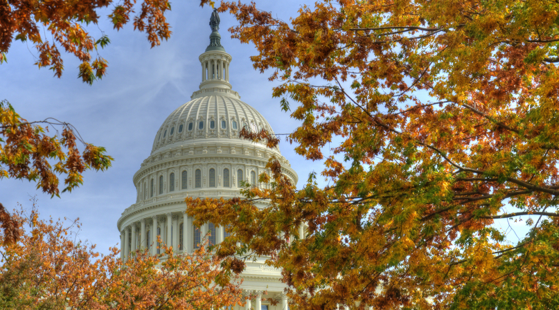 Image of Capitol-fall-leaves.jpg