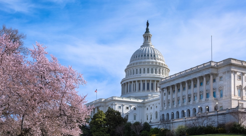 Image of Capitol-spring.jpg