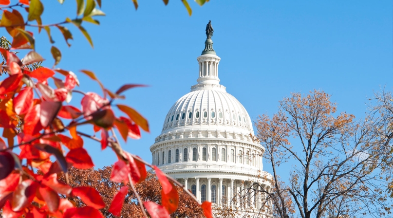 Image of Capitol-trees_2.jpg