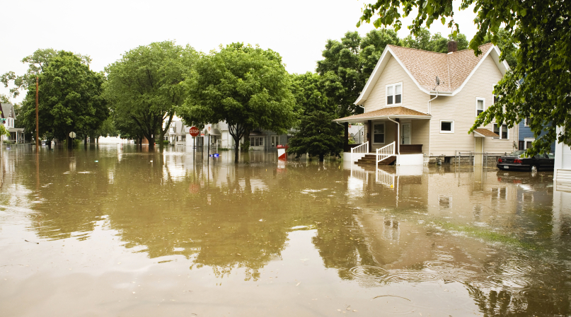 Image of GettyImages-170618580 recolor.jpg