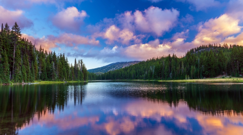 GettyImages-966576324.jpg Image of GettyImages-966576324.jpg