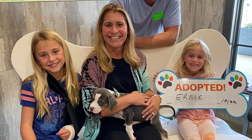 Adopt.jpg Image of Adopt.jpg