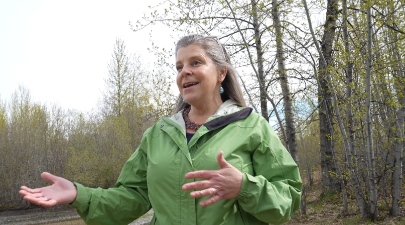 Alaska ARPA Oberlinter.png Image of Alaska ARPA Oberlinter.png