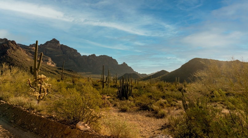 GettyImages-1308164110.jpg Image of GettyImages-1308164110.jpg