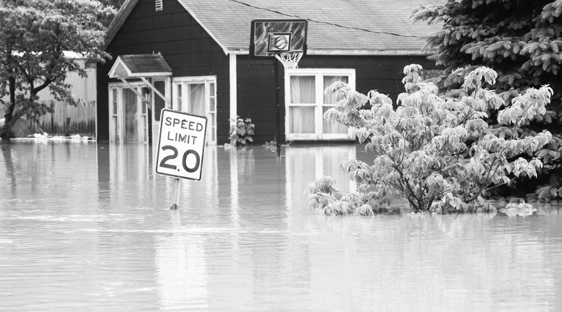 Image of GettyImages-146078178_flood_bw.jpg