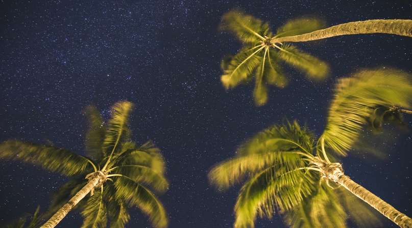 GettyImages-944269682_milkypalms.jpg Image of GettyImages-944269682_milkypalms.jpg