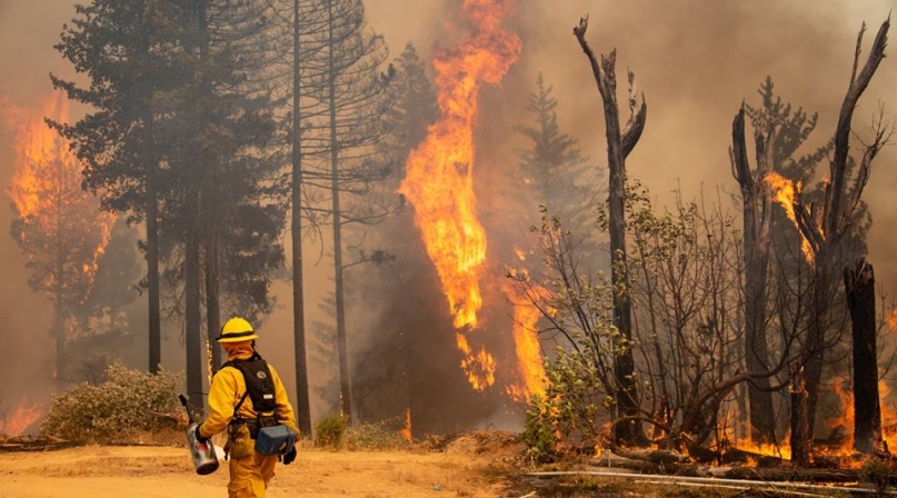 Image of Mendocino Fire 2.jpg