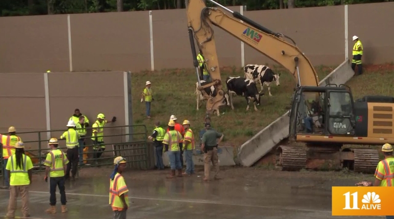 NewsFrom New Cow!.jpeg Image of NewsFrom New Cow!.jpeg