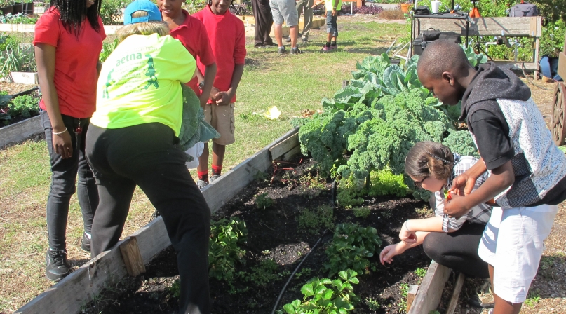 Image of Tampa Heights Community Garden (86).jpg