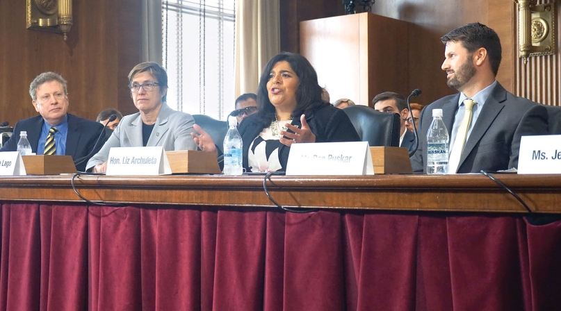 congressional-testimony-photo_LizA.jpg Image of congressional-testimony-photo_LizA.jpg