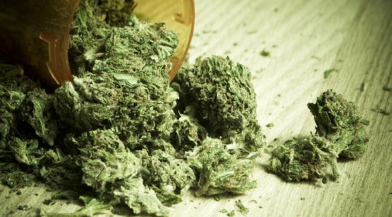 legal_pot.jpg Image of legal_pot.jpg