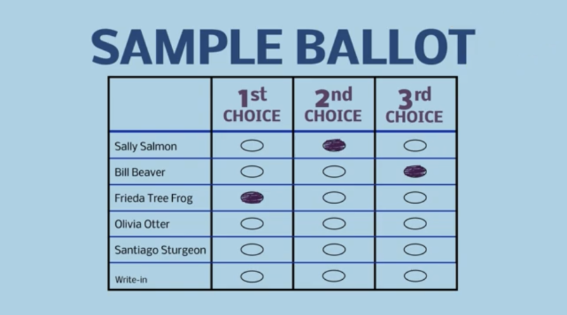 Image of ranked_choice_1.PNG