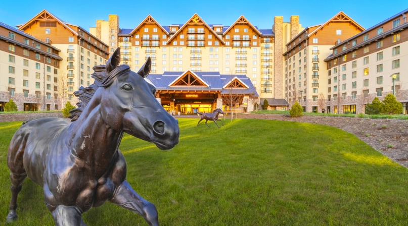 rgb_dengr-arrival-5852_metalhorses.jpg Image of rgb_dengr-arrival-5852_metalhorses.jpg