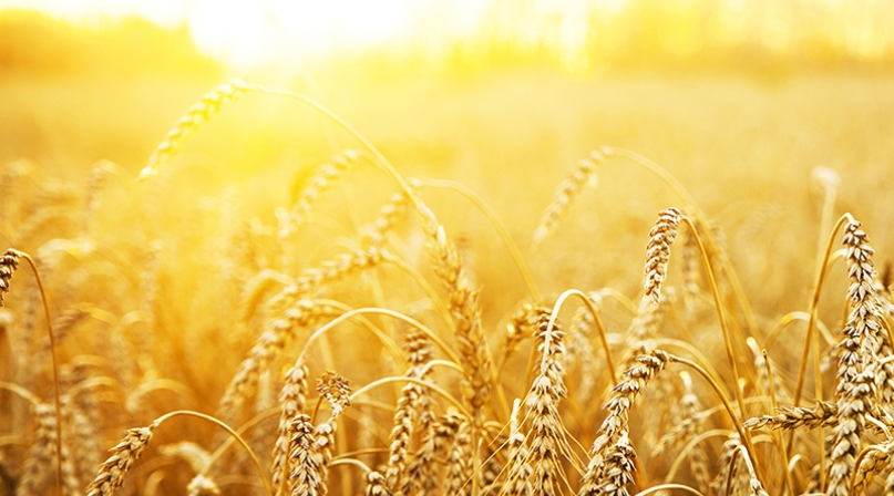 rural-2.jpg Image of rural-2.jpg
