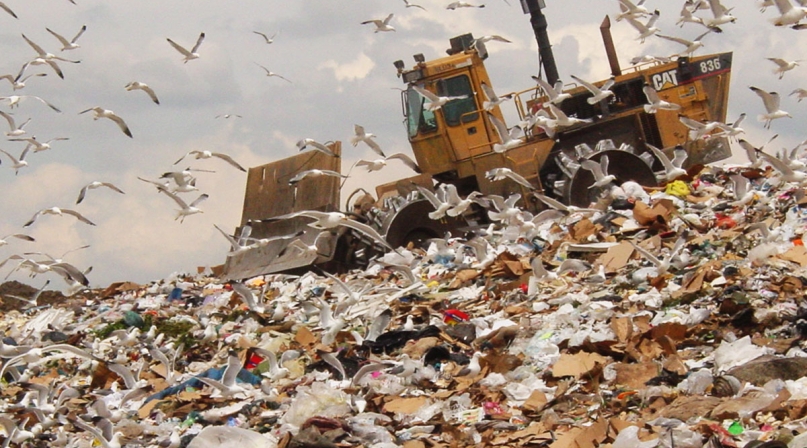 Image of stock-photo-13719559-the-bulldozer-on-a-garbage-dump.jpg