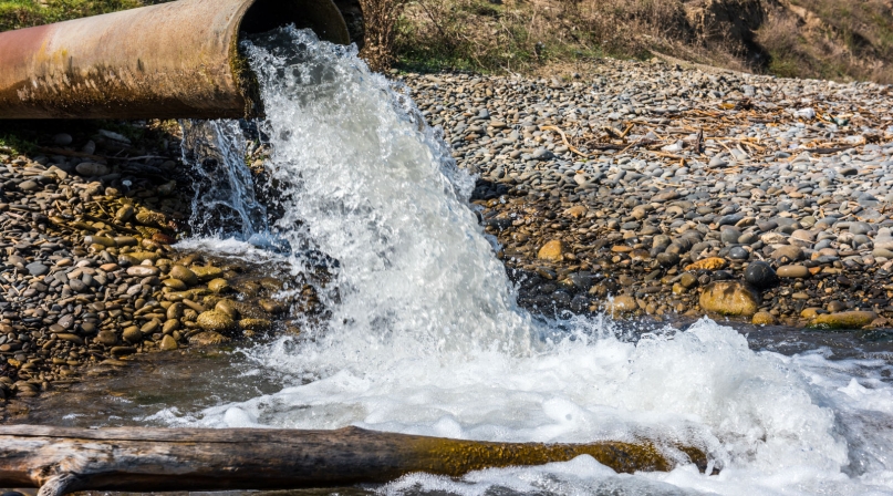 wrda.jpg Image of wrda.jpg