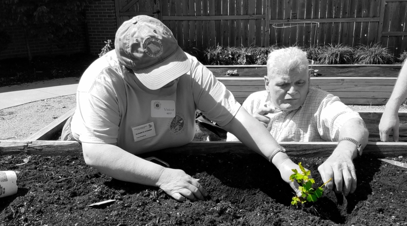 x20180518_104816_greenplants_desat.jpg Image of x20180518_104816_greenplants_desat.jpg
