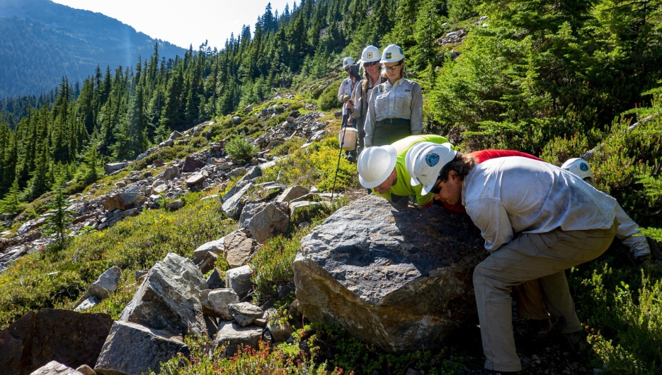 Volunteers move a boulder near the Pacific Crest Trail under the supervision of U.S. Forest Service personnel as depicted in a photo that received honorable mention in the 2020 Pacific Crest Trail Association photo contest. Photo by Mark de Hoo