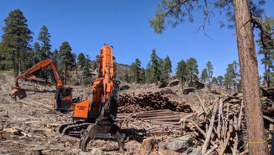 Crews work on forest restoration in Coconino County, Ariz.