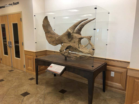 “Pops” is currently housed inside a protective glass display case at the Weld County Administration Building.