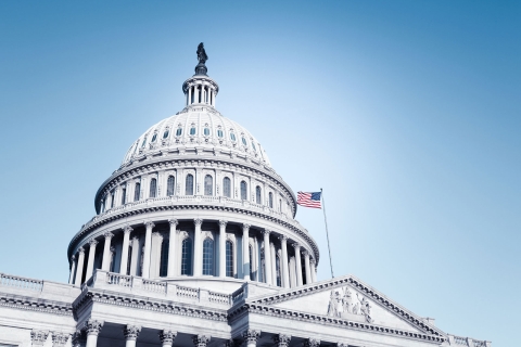 Image of Capitol-closeup_3.jpg