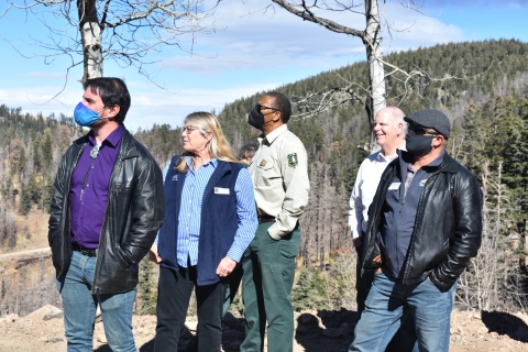 Image of Coconino-AZ-Forest-Service.jpeg