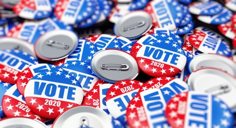 Vote-pins-2020.jpg Image of Vote-pins-2020.jpg